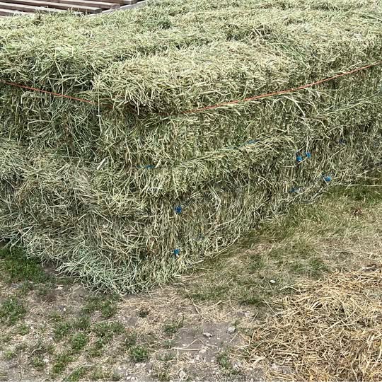 First Cutting 2026 Alfalfa/Grass Mix Hay (photo 1)