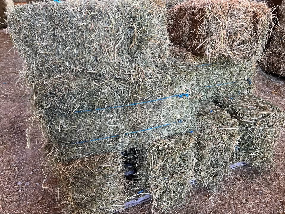 3rd-Cutting Alfalfa/Grass Mix Hay – Utility Use (Cow Hay) (photo 1)