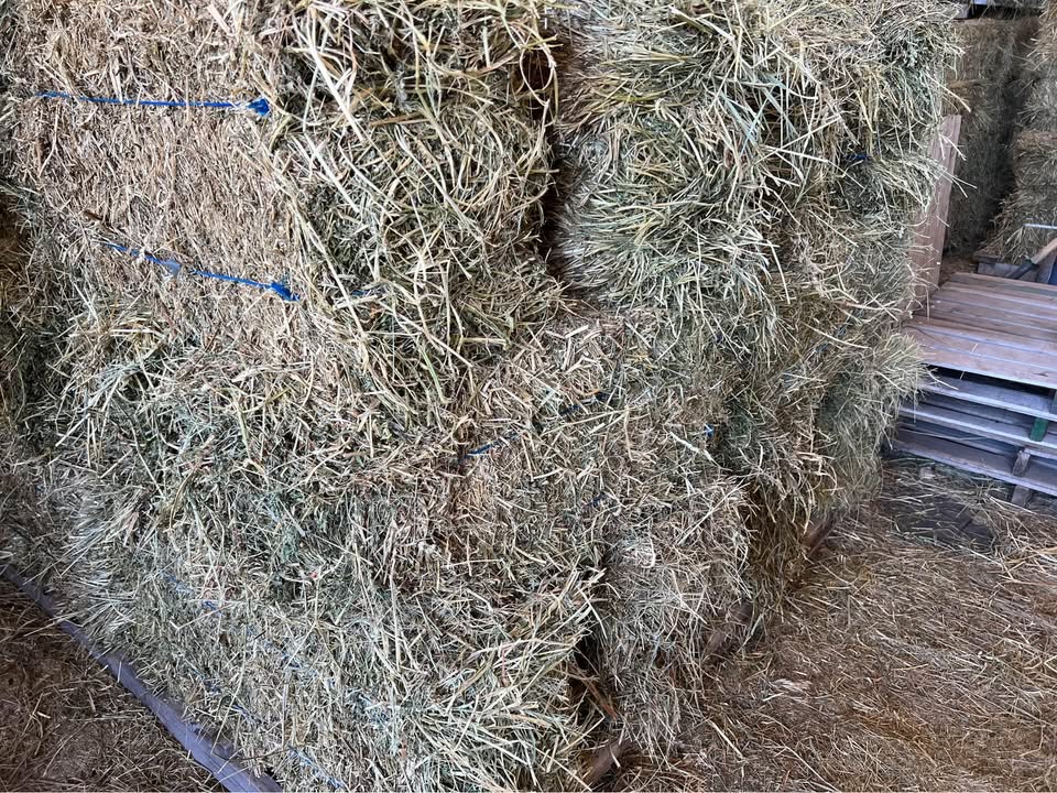 3rd-Cutting Alfalfa/Grass Mix Hay – Utility Use (Cow Hay) (photo 2)