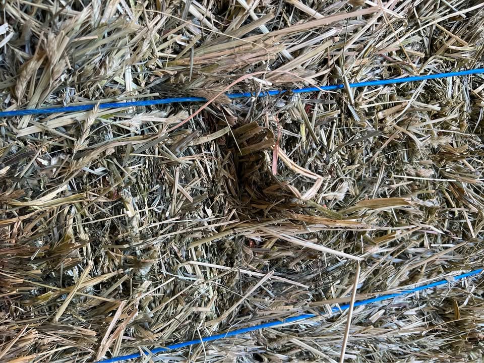 3rd-Cutting Alfalfa/Grass Mix Hay – Utility Use (Cow Hay) (photo 3)