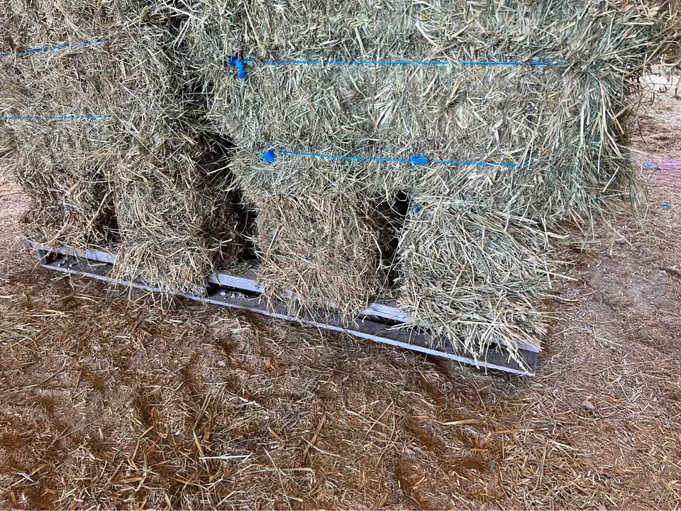 3rd-Cutting Alfalfa/Grass Mix Hay – Utility Use (Cow Hay) (photo 5)