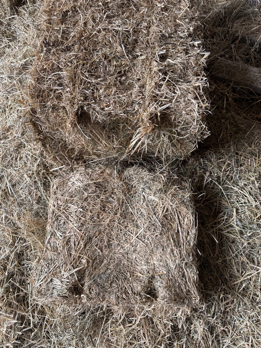 2nd and 3rd-Cutting Alfalfa/Grass Mix Hay  (photo 6)