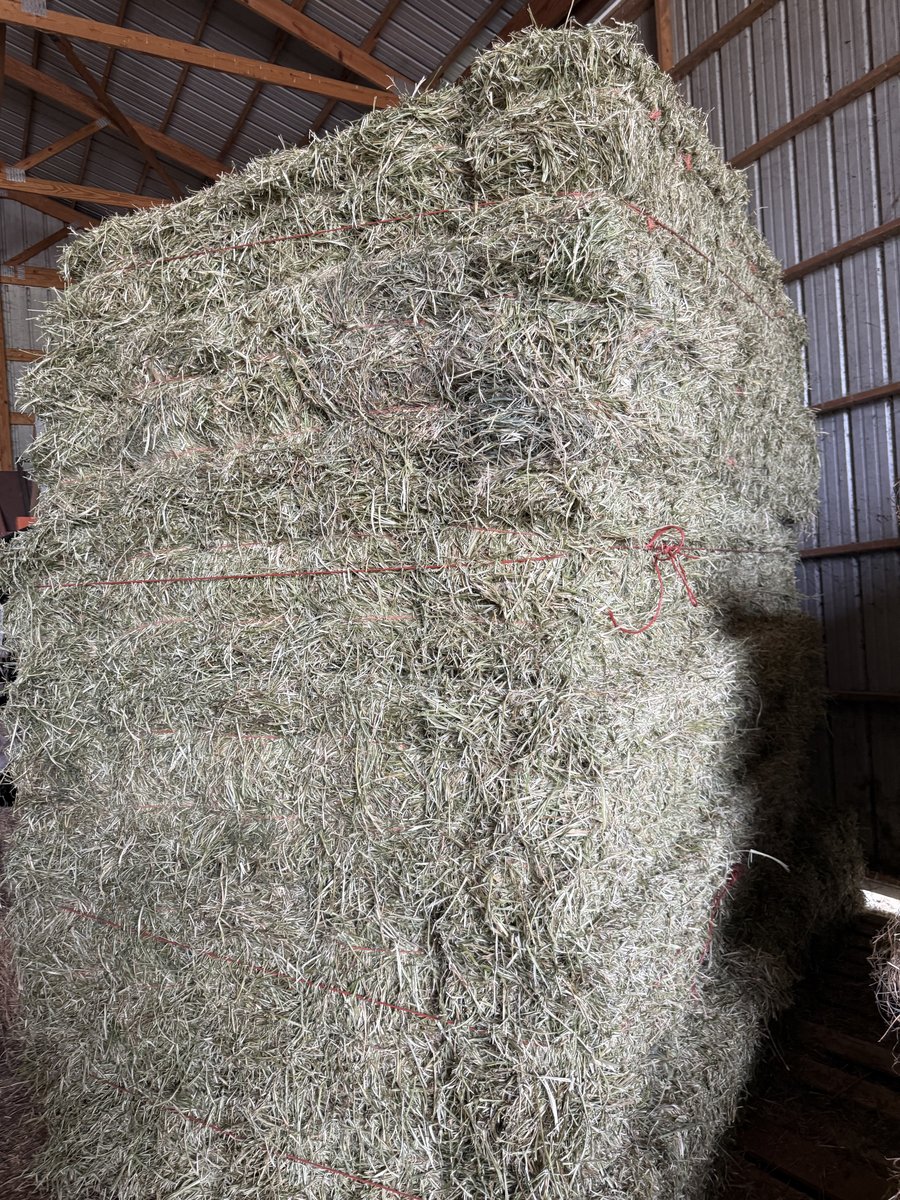 1st Cutting Alfalfa/Grass Mix Hay. Cut in May (photo 2)