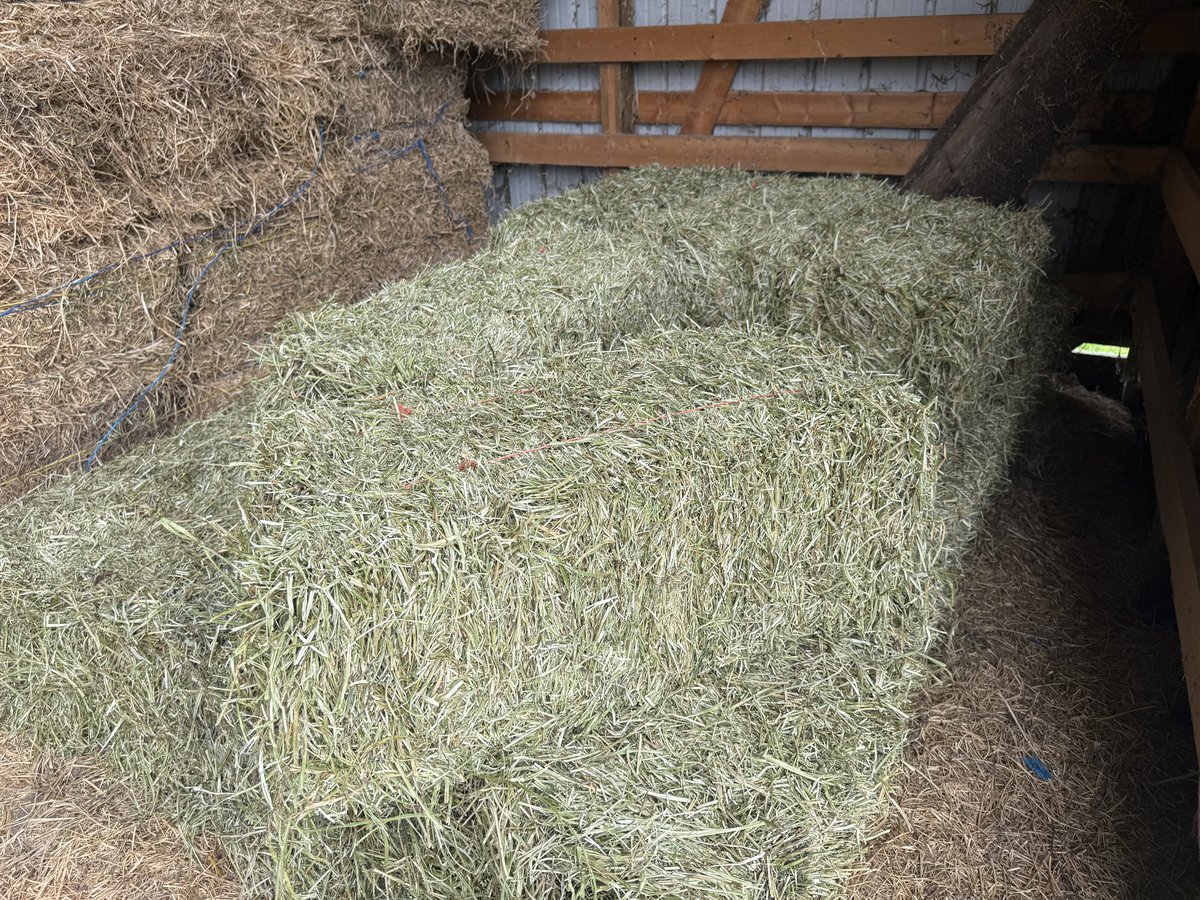 1st Cutting Alfalfa/Grass Mix Hay. Cut in May (photo 5)