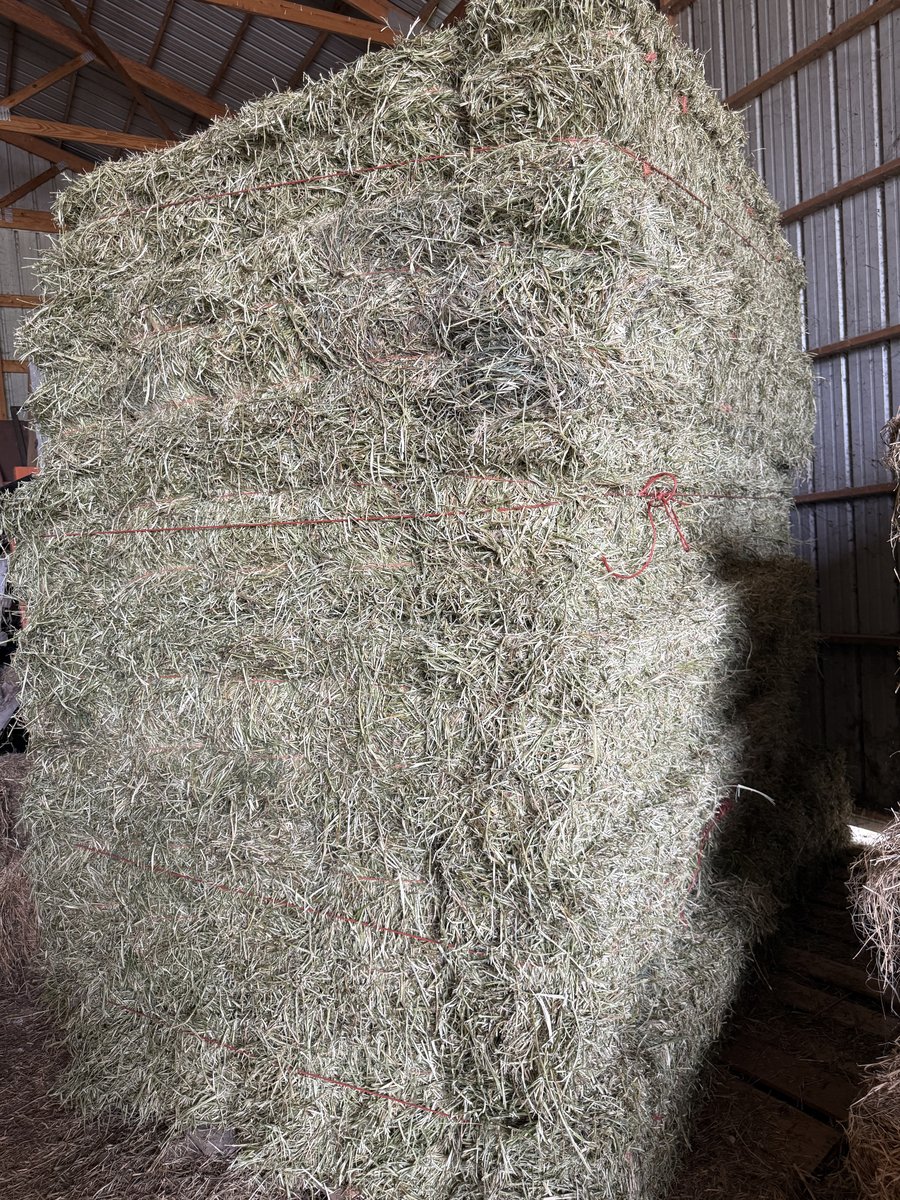 1st Cutting Alfalfa/Grass Mix Hay. Cut in May (photo 7)